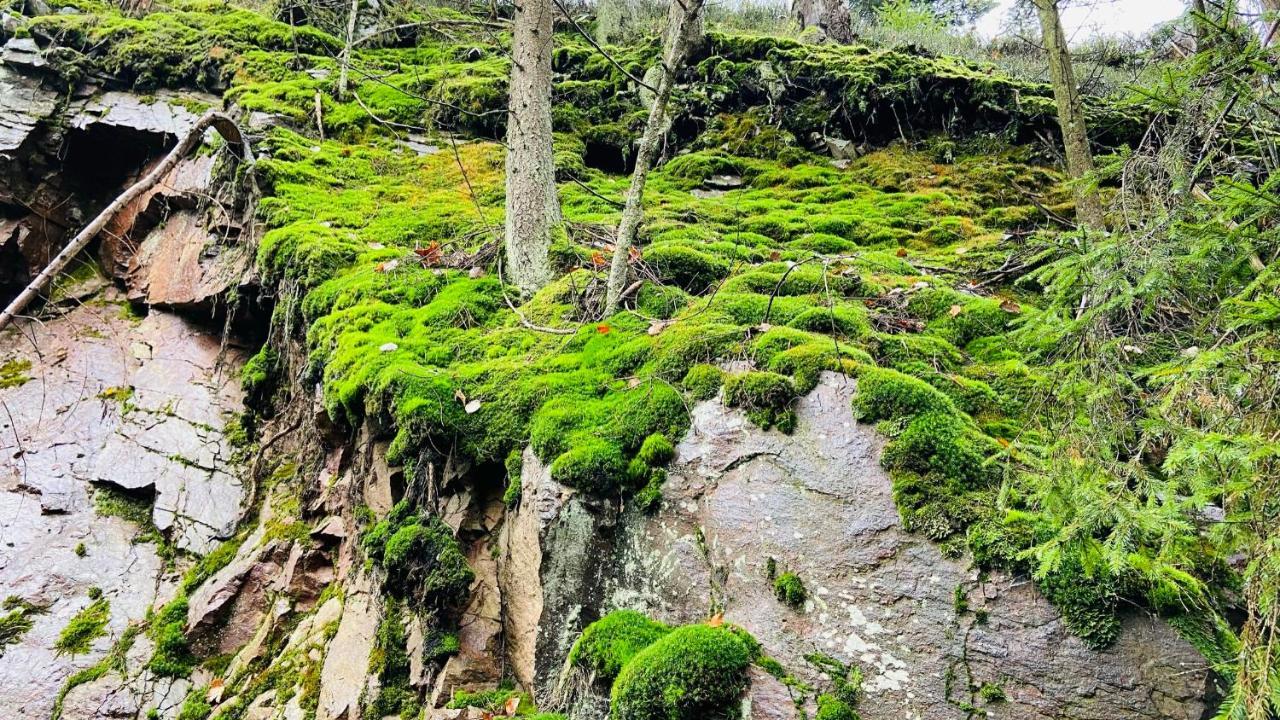 Chalupa U Bohumila Rybna nad Zdobnici Экстерьер фото
